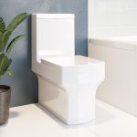 Close Coupled Rimless Toilet with Soft Close Seat - Ashford