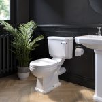 Traditional Close Coupled Toilet with Wooden Soft Close Seat - Park Royal